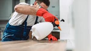 Best Pest Prevention Services  in Sun Valley, PA